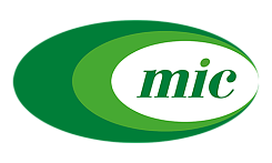 Минскинтеркапс
